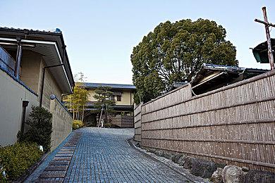 《宝可梦集换式卡牌 Pocket》新扩展卡包“梦幻之岛”公布预告 12月17日推出